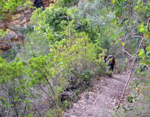 STORMS RIVER HIKES & TRAILS