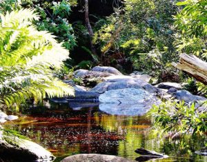 TSITSIKAMMA HIKING TRAIL