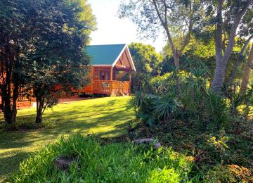 Big Tree Cottage