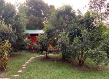 Big Tree Cottage