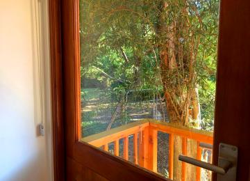 Big Tree Cottage